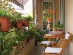 Balkon, cveće
