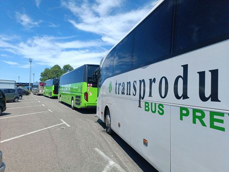 Batrovci gužva, granični prlelaz