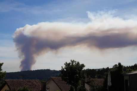 Šumski požar, Severozapad Španije, Galicija
