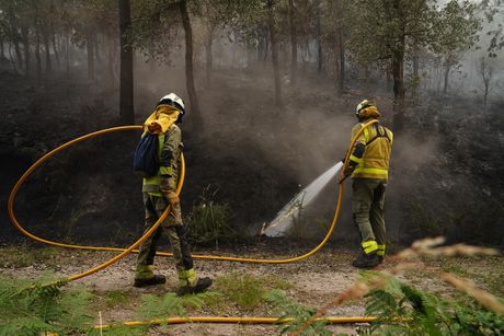 Šumski požar, Severozapad Španije, Galicija