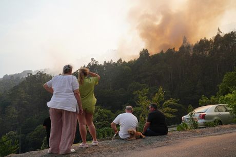 Šumski požar, Severozapad Španije, Galicija