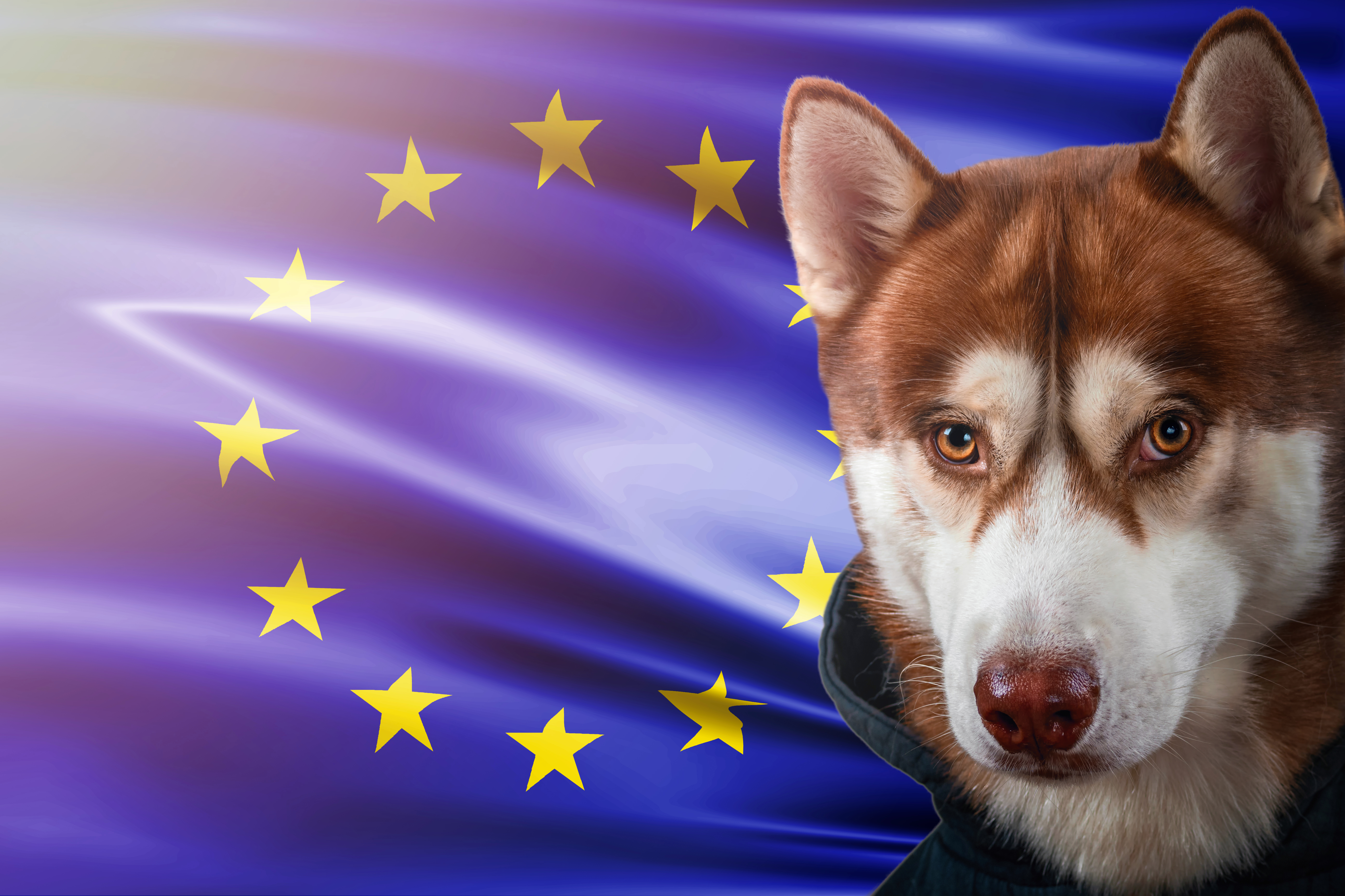 Putovanje bez titar testa od 19. juna 2026: Uredba zvanično objavljena u Službenom glasniku EU