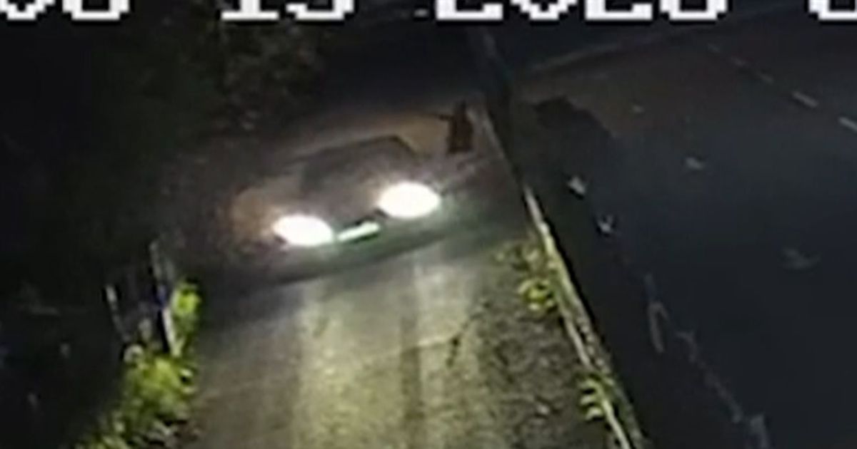 VIDEO PUCANJA U SURČINU! Kinezi su izašli iz auta i pucali u kuću (VIDEO) – Novosti VIDEO PUCANJA U SURČINU! Kinezi su izašli iz auta i pucali u kuću (VIDEO) – Novosti