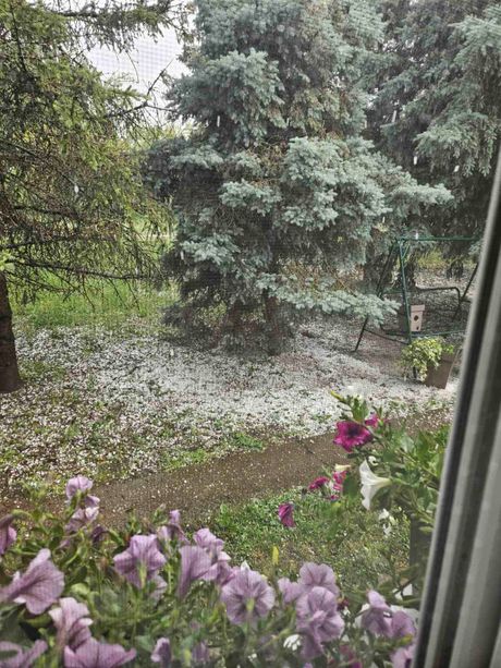 Grad, Bačka Topola