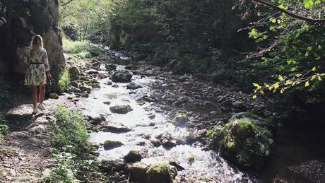 Arilje, reka Panjica
