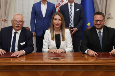 Dubravka Đedović Handanović, Ministarstvo rudarstva i energetike