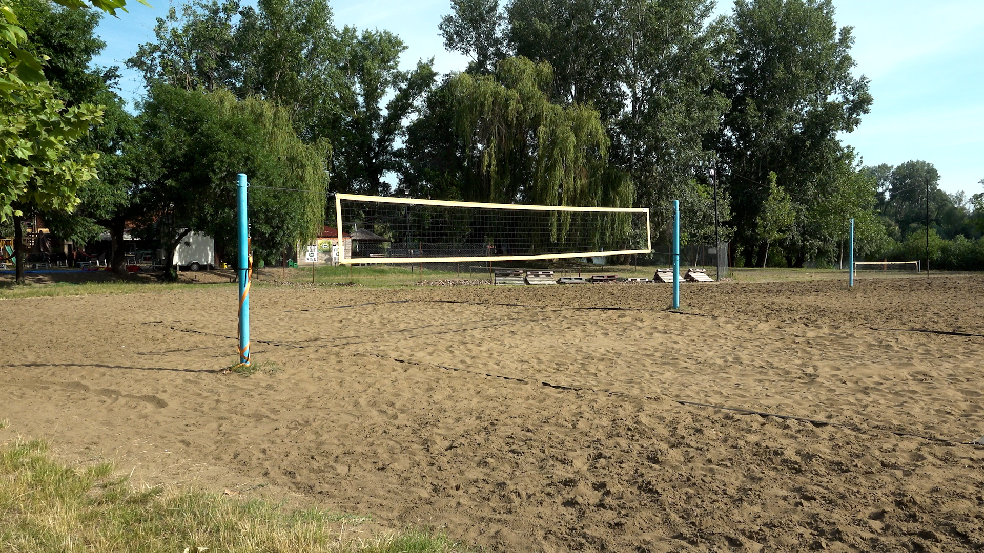 Šok snimak sa srpske plaže: Nesvakidašnji gosti prišli vodi, ljudi gledaju i ne veruju