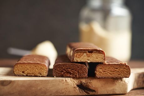 Proteinska pločica