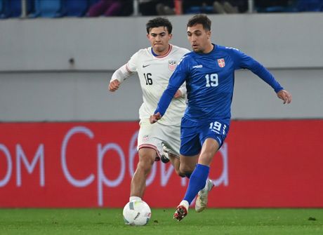 Milan Aleksić