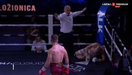 Balkan Boxing 8: Haos u ringu! Petrič "uništio" Marića, uskoro nas čeka Vaso Bakočević, Dušan Džakić...