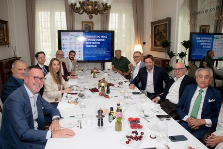 Klub privrednika, Dubravka Đedović Handanović