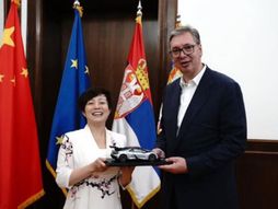 Vučić Stela Li