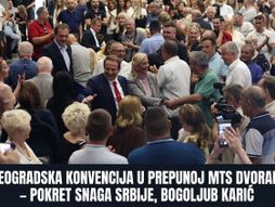 Bogoljub Karić