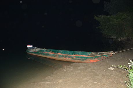 Migranti