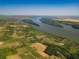 Dunav, Smederevo
