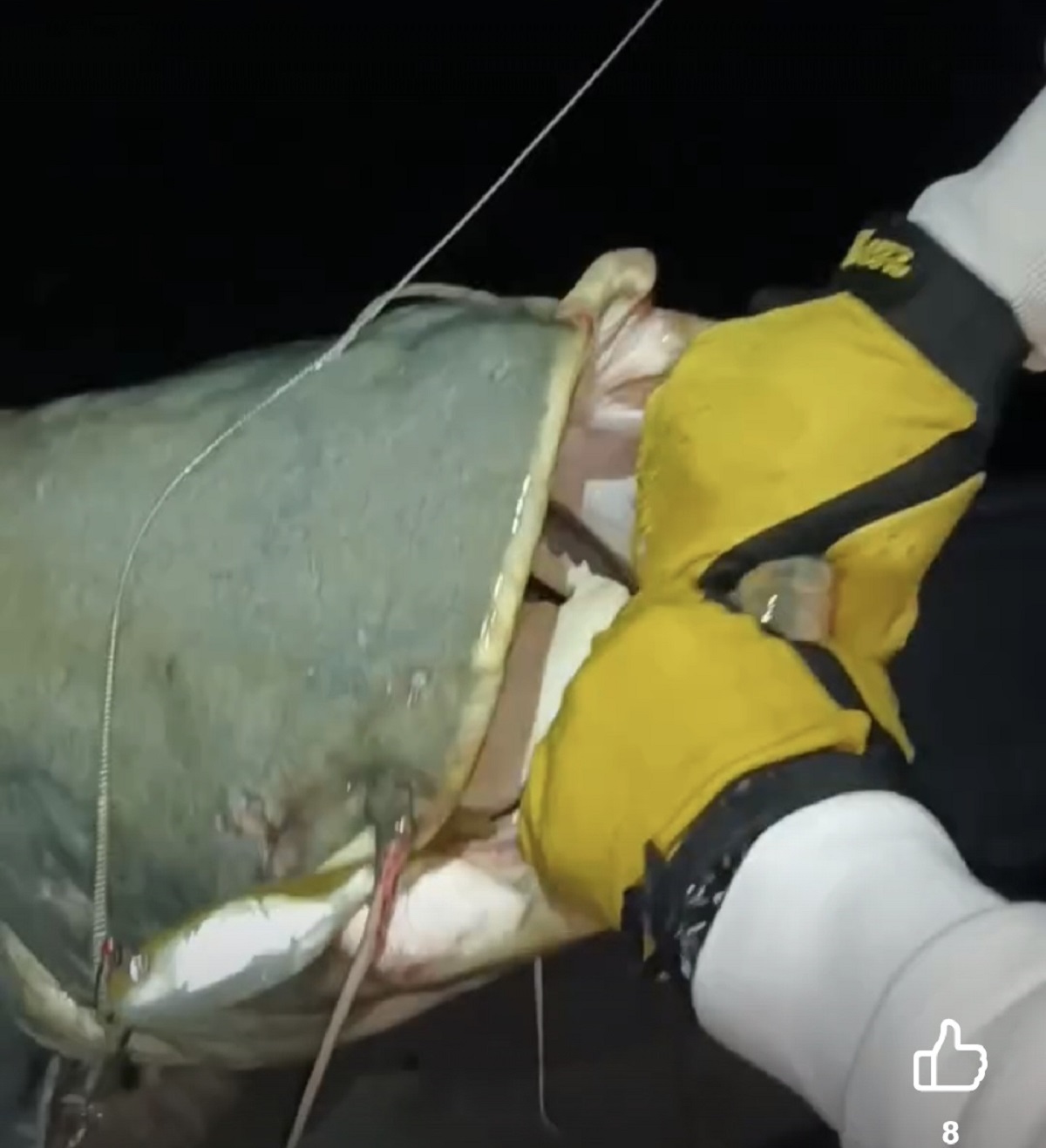 "Srce je htelo da ISKOČI IZ GRUDI od sreće": Srbin ulovio ČUDOVIŠTE od 65 kilograma u Španiji (SNIMAK)