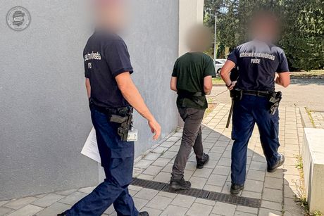 Mađarska Budimpešta tela anatomija osumnjičeni