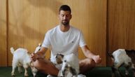 Novak, joga i koze - kombinacija koja je oduševila svet: Snimak će naljutiti Federa i Nadala, ovo je hit!