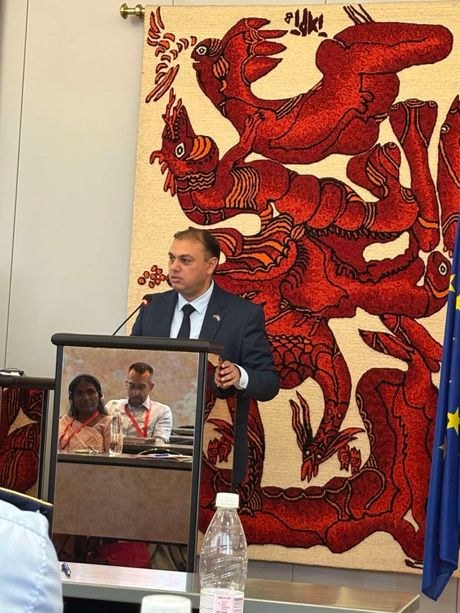 Međunarodna konferencija u Sloveniji: Dve decenije napretka, ali i novi izazovi
