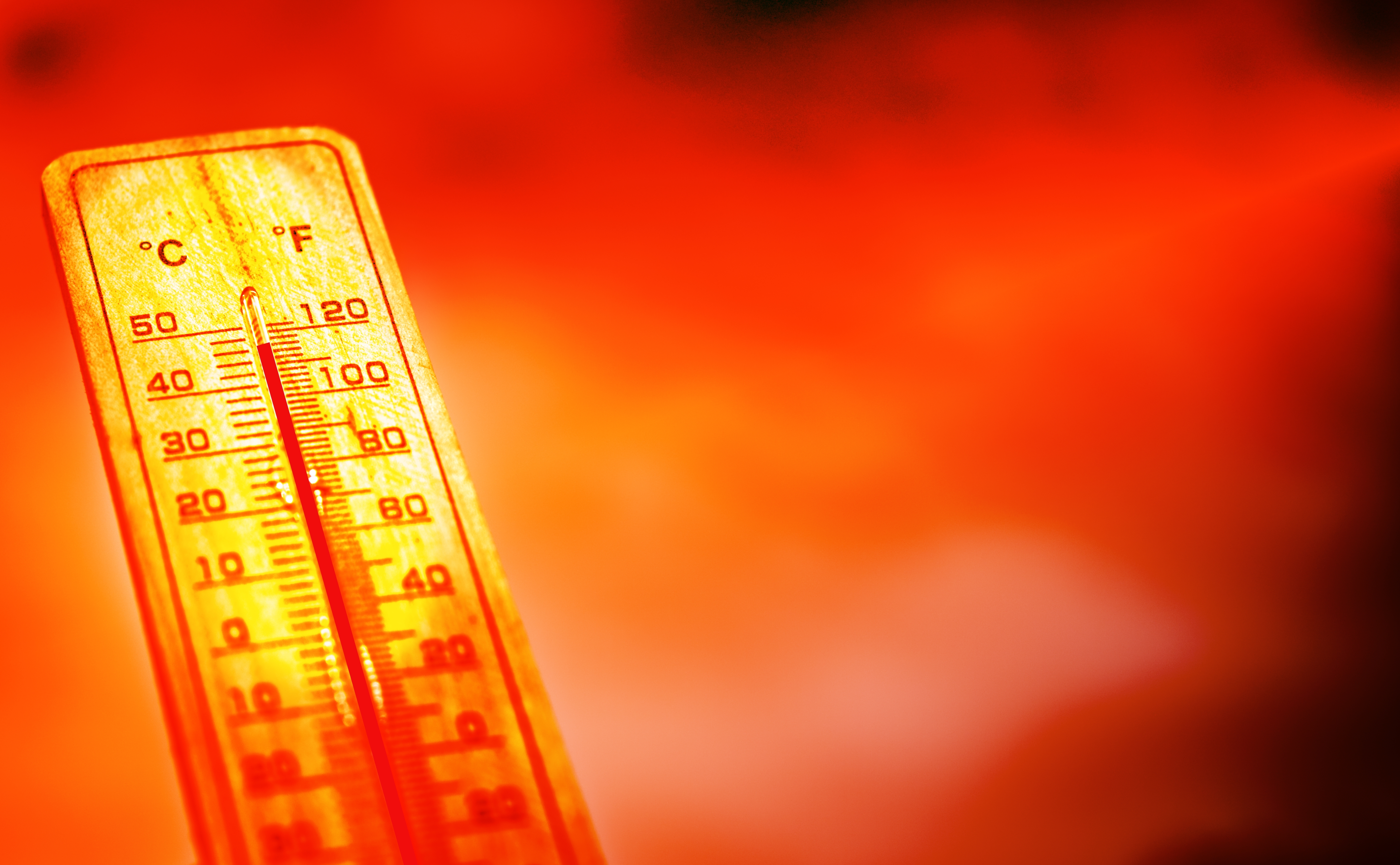 PADAJU TEMPERATURNI REKORDI! Konferencija o ekstremnoj vrućini otkazana zbog - ekstremne vrućine!