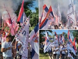 simpatizeri SNS