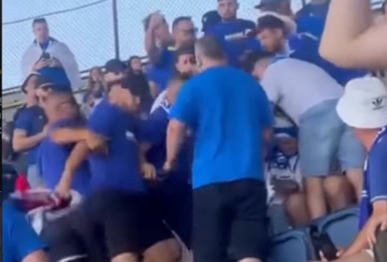 Sramota na utakmici Bosne na Svetskom prvenstvu: Navijači oteli zastavu Srbije na stadionu, pojavio se snimak