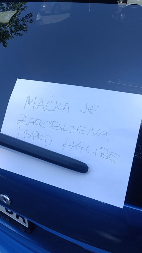 Mačka ispod haube