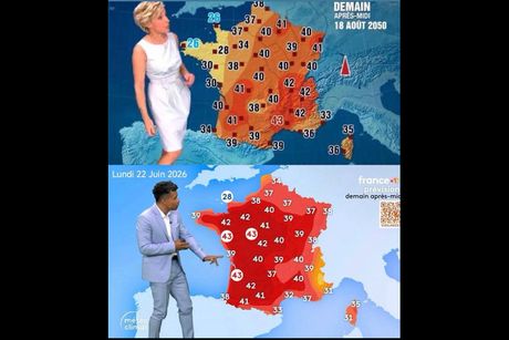 Francuska Prognoza, Satira, Prava Prognoza