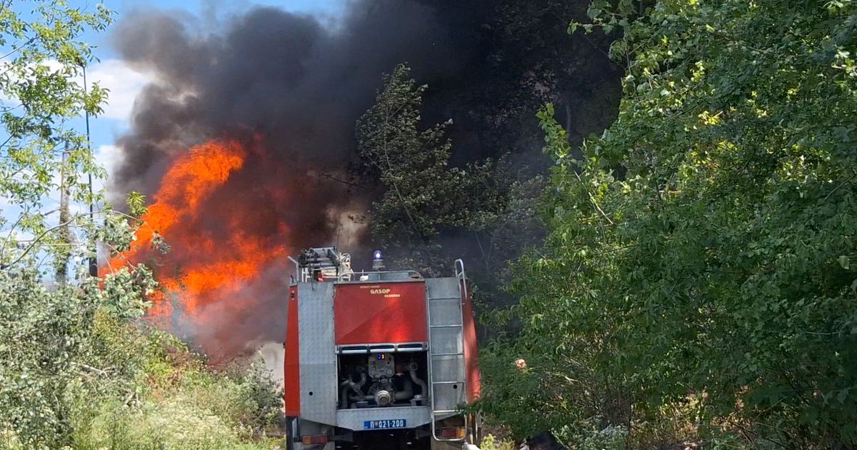Десет ватрогасаца и три возила гасе пожар код Макиша: Горе пружни прагови