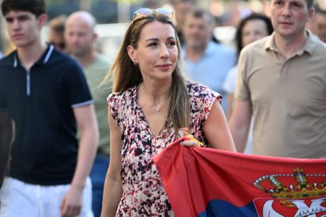 Dubravka Đedović Handanović, Srbija jedna porodica, Skup
