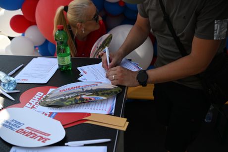 Srbija jedna porodica,  Skup