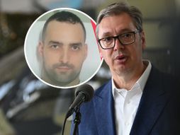 Aleksandar Vučić, Dalibor Nikolić