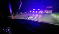 Rotacije, povređen vozač i strašan prizor leša na putu: U teškoj nesreći kod Boljevca stradala divlja zver
