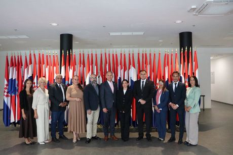 Nacionalni savet Roma Srbije u Hrvatskoj, Romi, Romska manjina