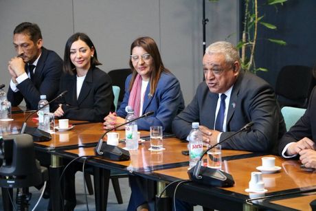 Nacionalni savet Roma Srbije u Hrvatskoj, Romi, Romska manjina