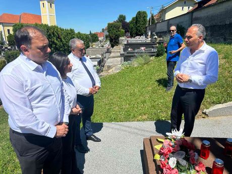 Nacionalni savet Roma Srbije u Hrvatskoj, Romi, Romska manjina