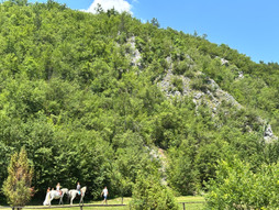 Xiaomi medija putovanje, Zlatibor