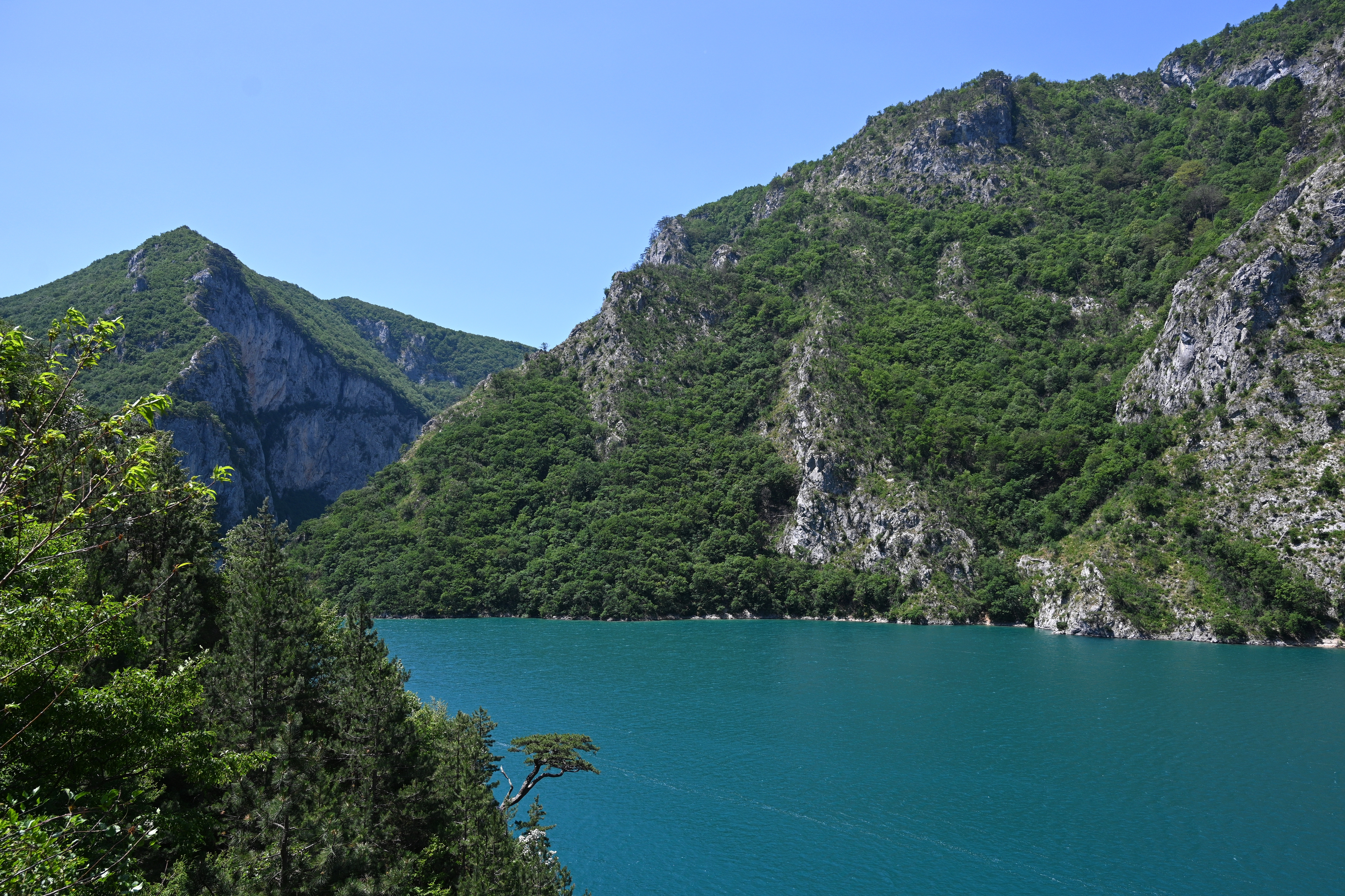 Divni prizori na Pivskom jezeru: Pogledajte kako srna preplivava jezero