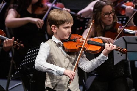 Guarneri fest