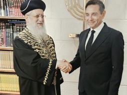 Aleksandra Vulin u izrealu