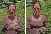 Ne bacajte pare na hemiju: Anđela stavlja 1 jeftin sastojak u vodu i prska biljke - rezultat je čudo!