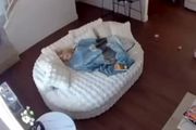 SNIMAK ZBOG KOG MILIONI DRŽE DAH: Mama u suzama gledala kako beba pada niz stepenice dok dadilja spava