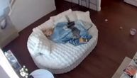 SNIMAK ZBOG KOG MILIONI DRŽE DAH: Mama u suzama gledala kako beba pada niz stepenice dok dadilja spava
