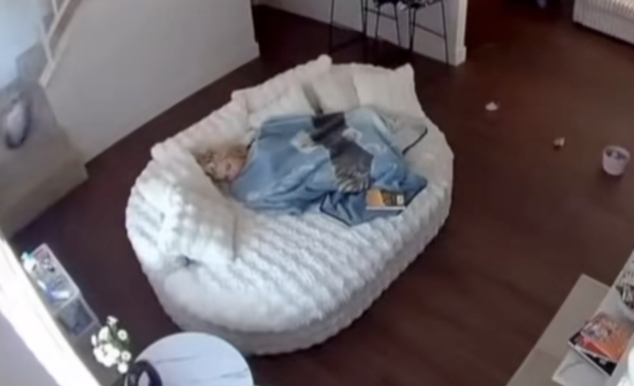 SNIMAK ZBOG KOG MILIONI DRŽE DAH: Mama u suzama gledala kako beba pada niz stepenice dok dadilja spava