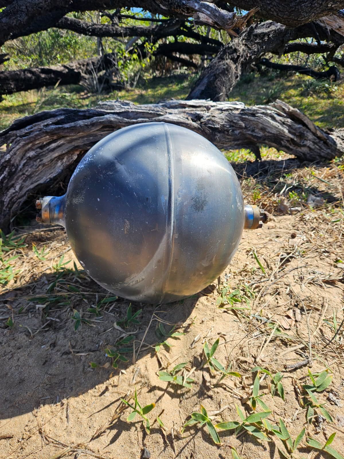 Misteriozni loptasti predmeti pronađeni na plažama u Kvinslendu