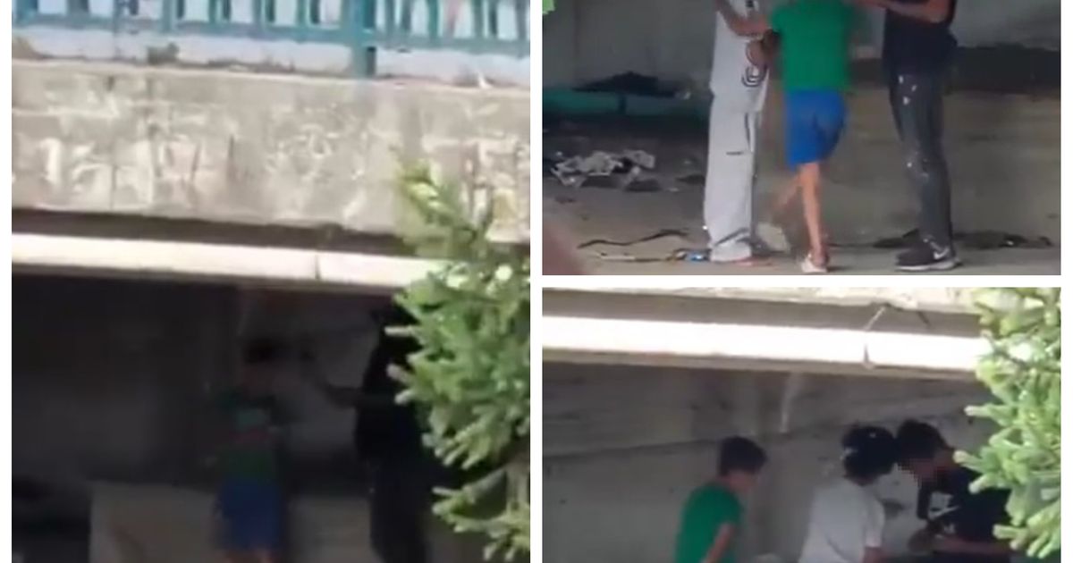 ALARM U GRADU SRBIJI Strašne scene ispod mosta, deca snimala kako daju novac čoveku – Vesti ALARM U GRADU SRBIJI Strašne scene ispod mosta, deca snimala kako daju novac čoveku – Vesti