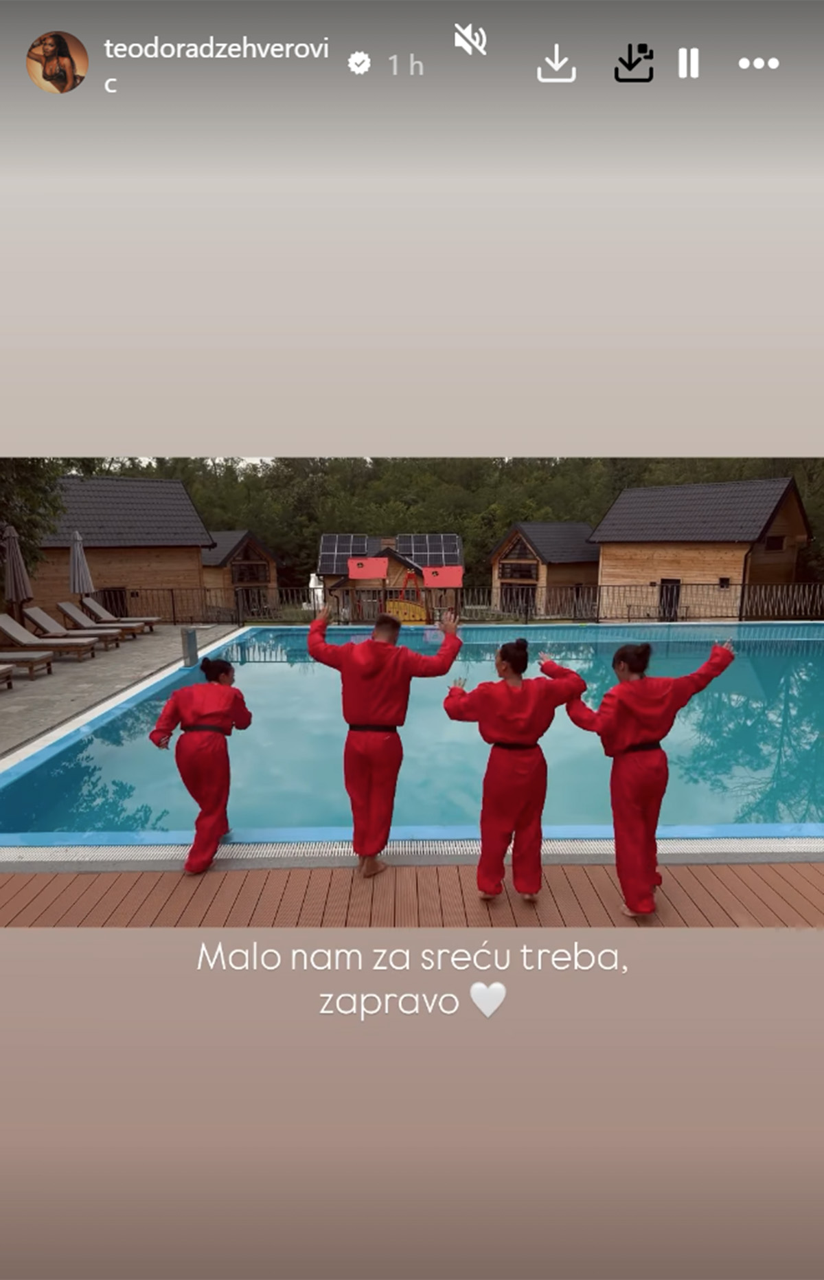 Haos na slavlju kod Teodore Džehverović! Maskirali se, pa svi skočili u bazen: "Malo nam za sreću treba"