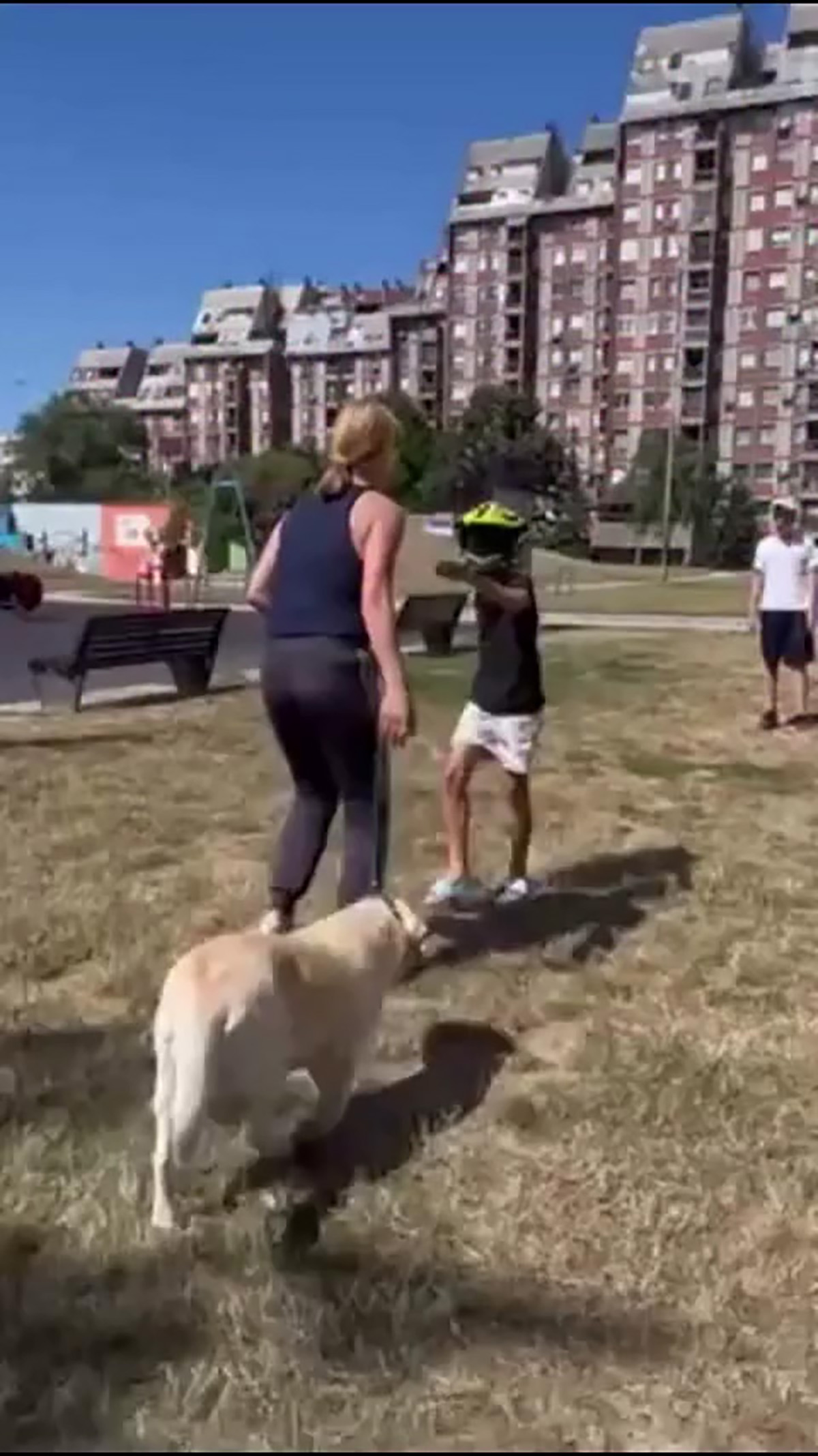 Uznemirujući snimak iz parka u Šapcu: Žena udarala dečaka u glavu, očevici ispričali kako je sve izgledalo!