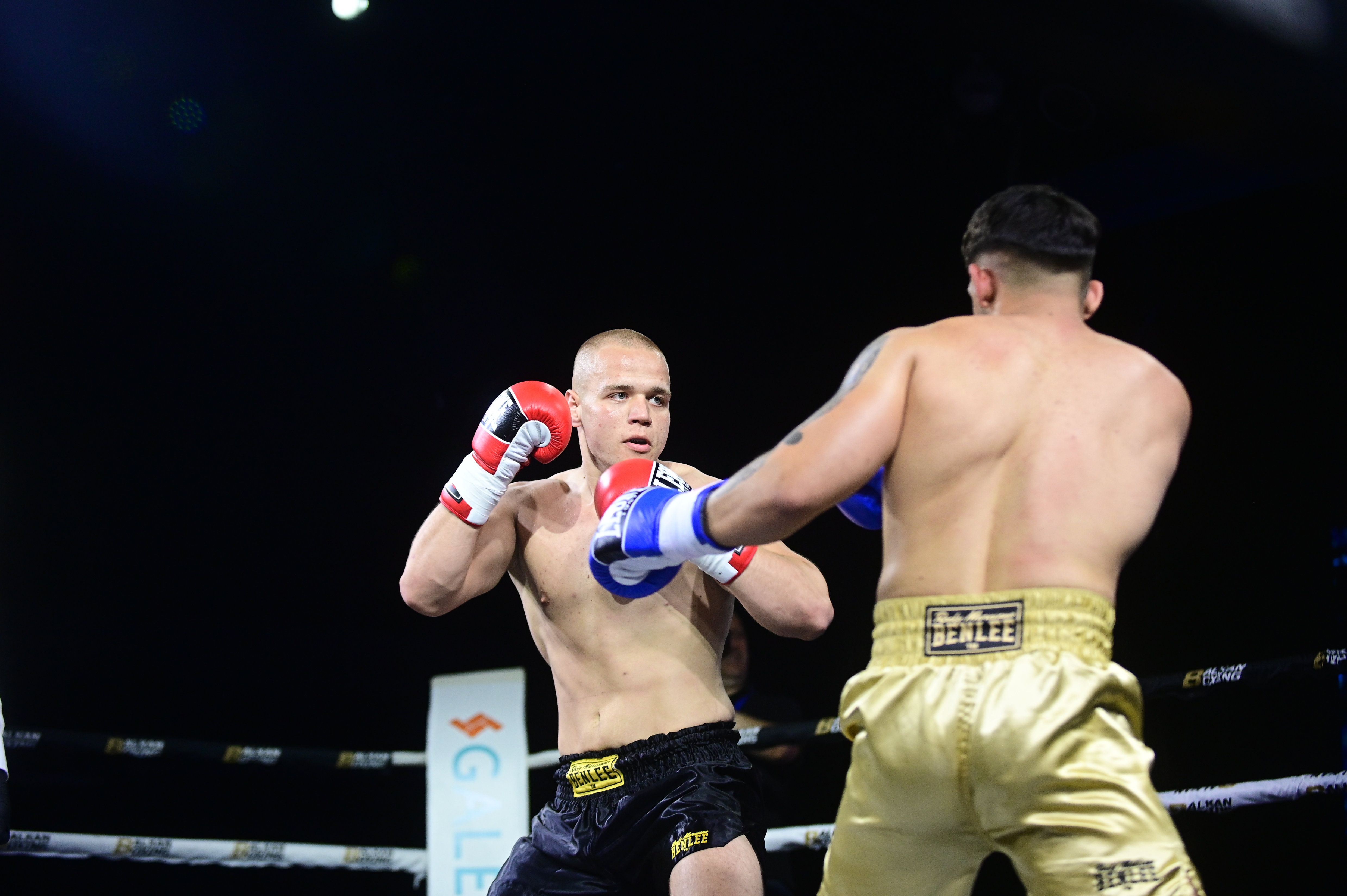 Kakav očevi, takvi sinovi! Tri naslednika legendarnih boraca iste večeri na Balkan Boxing 9 u Sarajevu!
