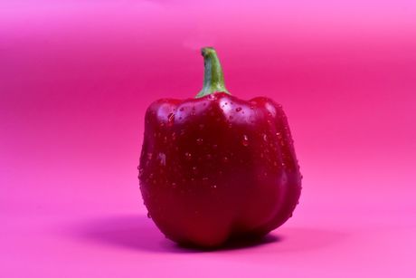 crvena babura, babura, paprika, crvena paprika